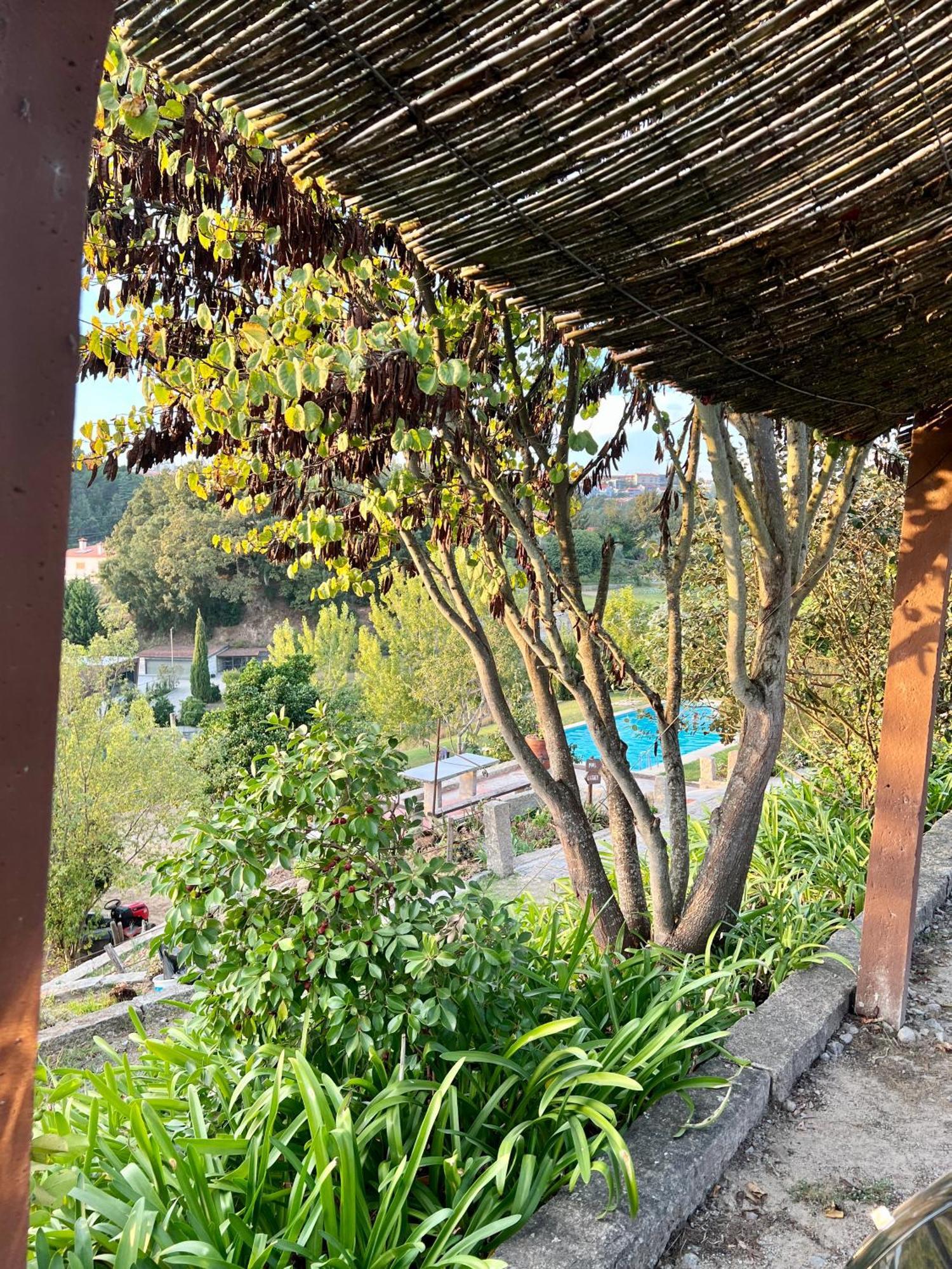 Quinta De Villasete Alpendurada エクステリア 写真