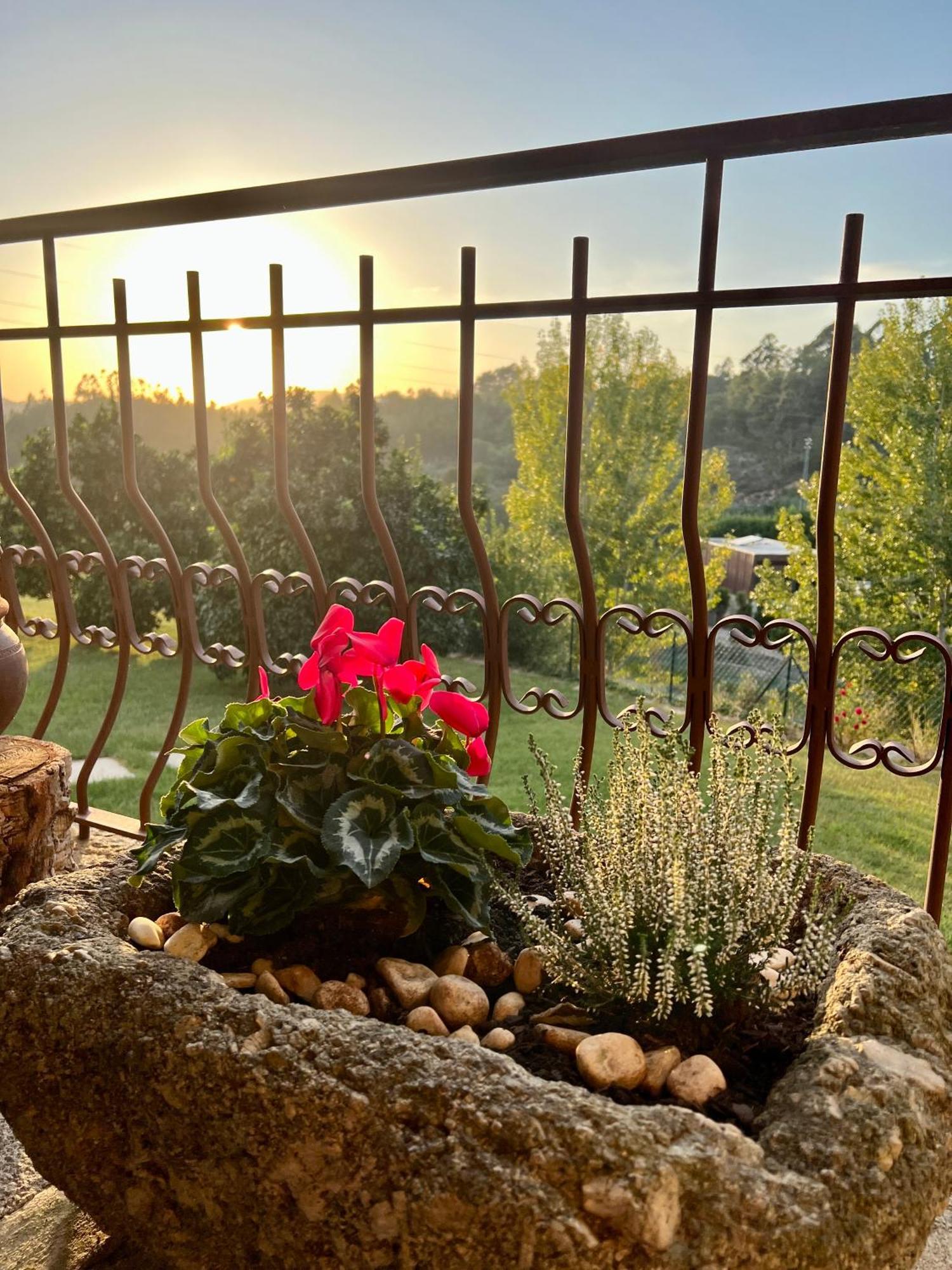 Quinta De Villasete Alpendurada エクステリア 写真