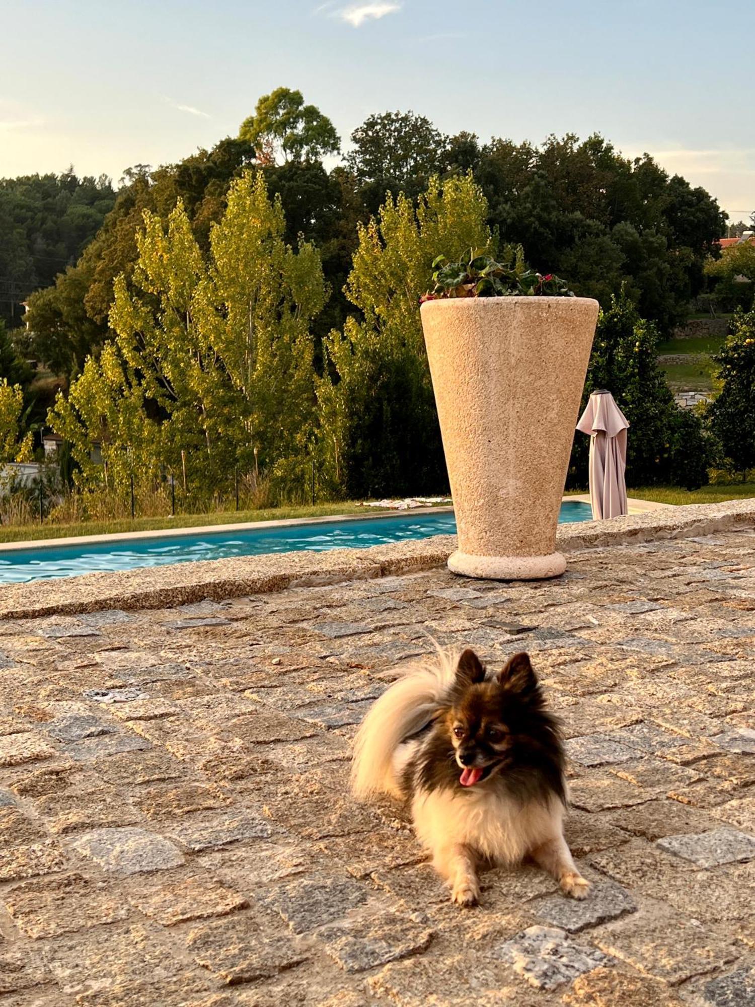 Quinta De Villasete Alpendurada エクステリア 写真