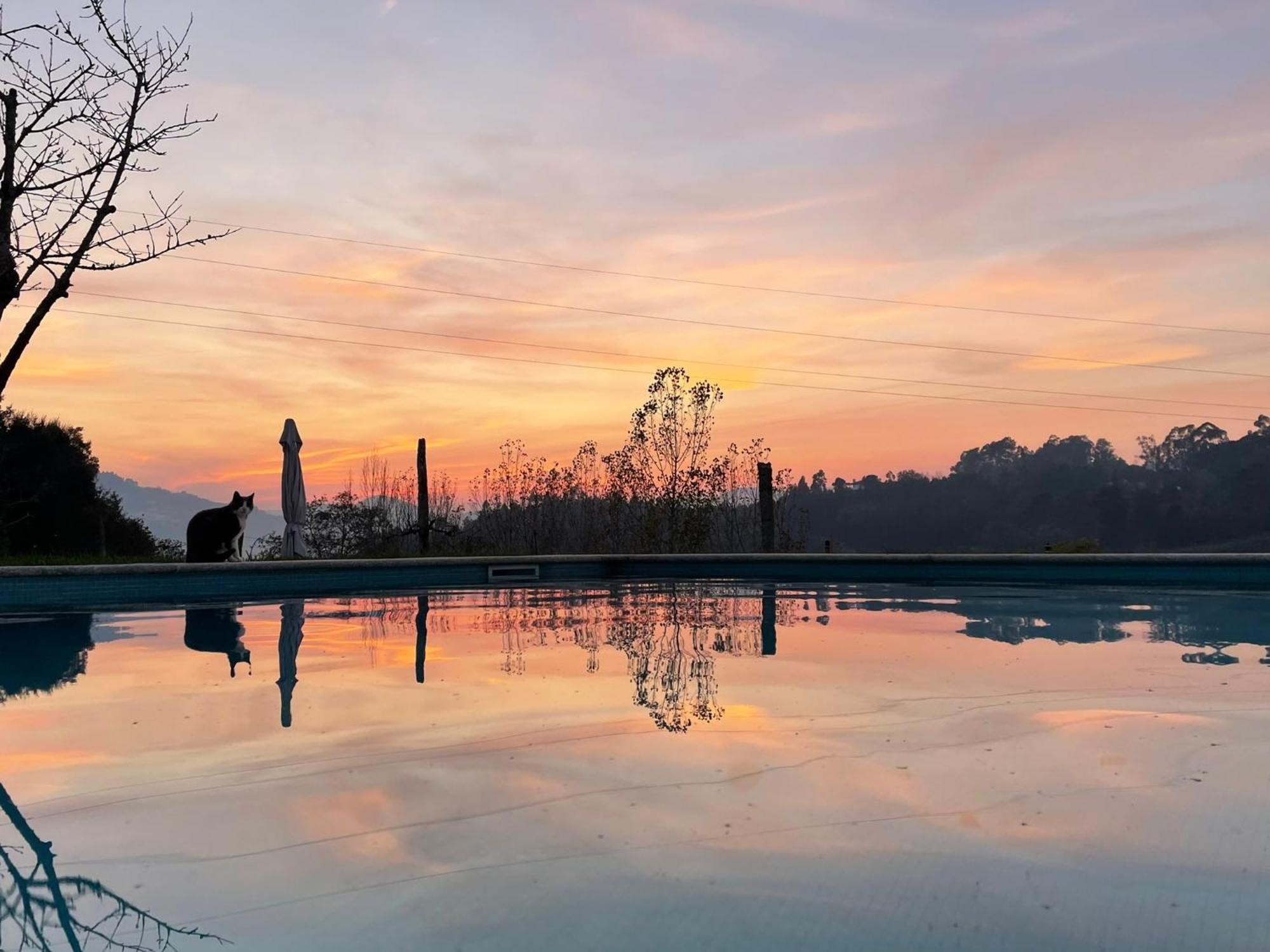 Quinta De Villasete Alpendurada エクステリア 写真