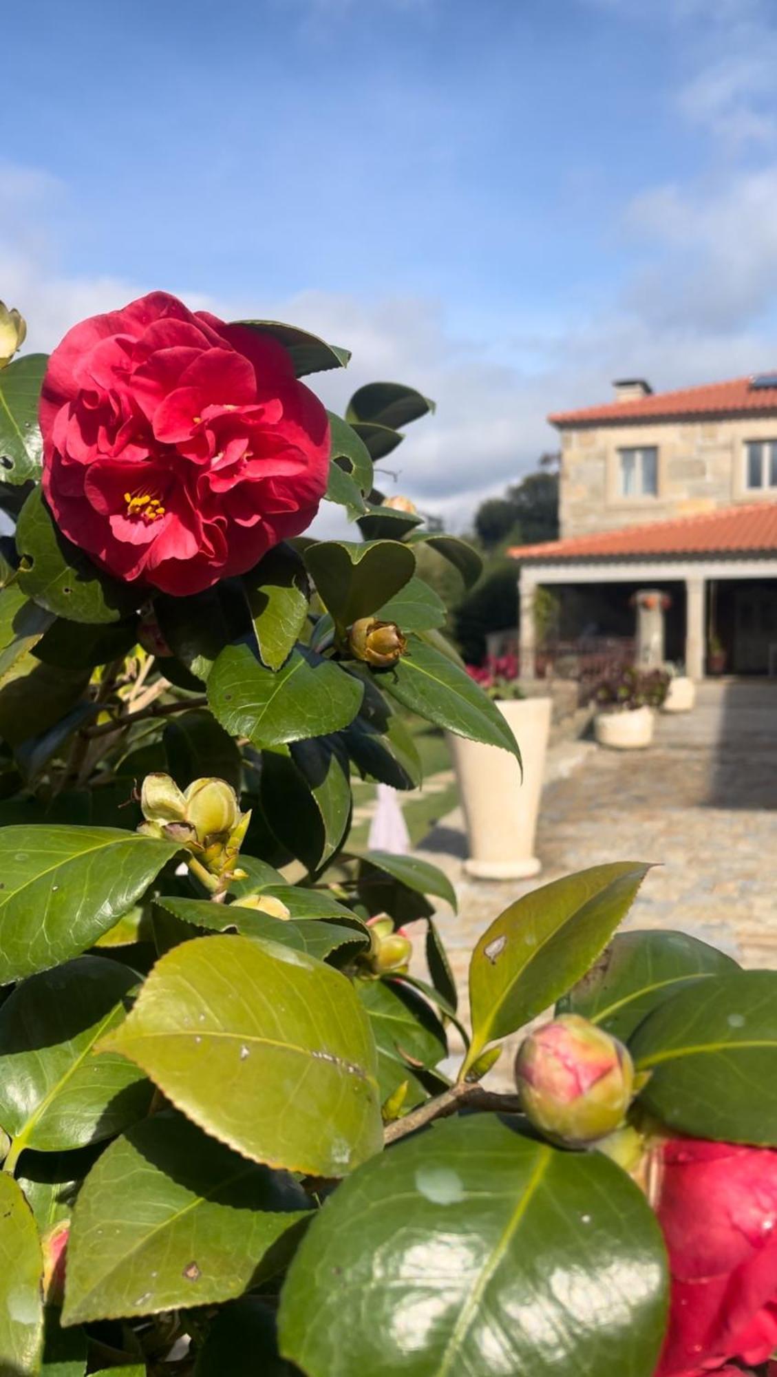 Quinta De Villasete Alpendurada エクステリア 写真