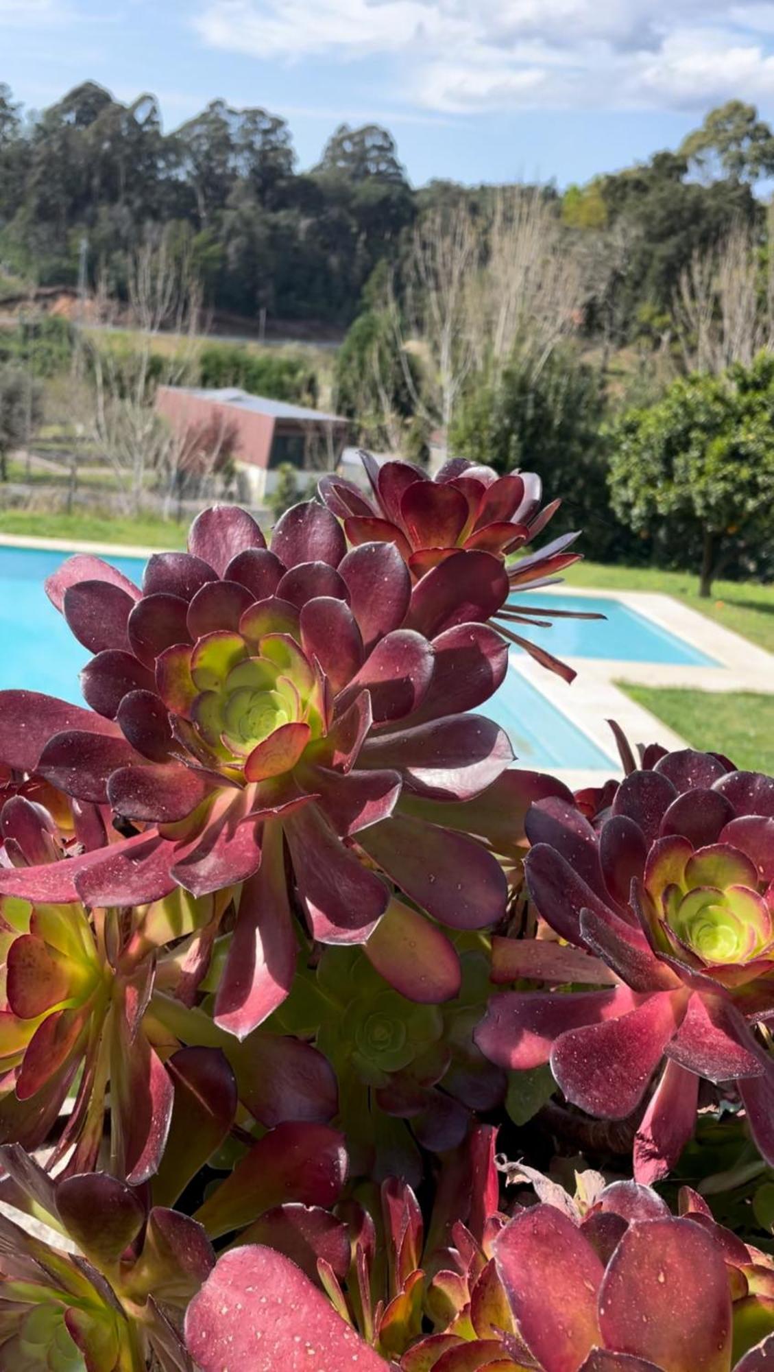 Quinta De Villasete Alpendurada エクステリア 写真