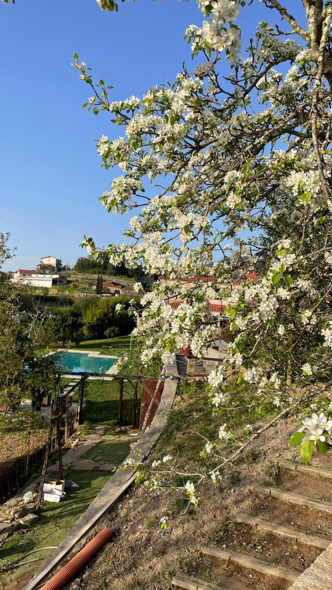 Quinta De Villasete Alpendurada エクステリア 写真