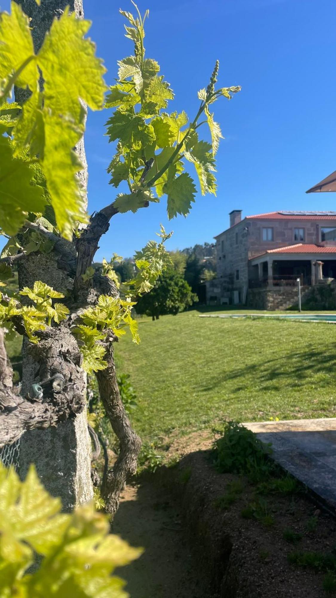 Quinta De Villasete Alpendurada エクステリア 写真