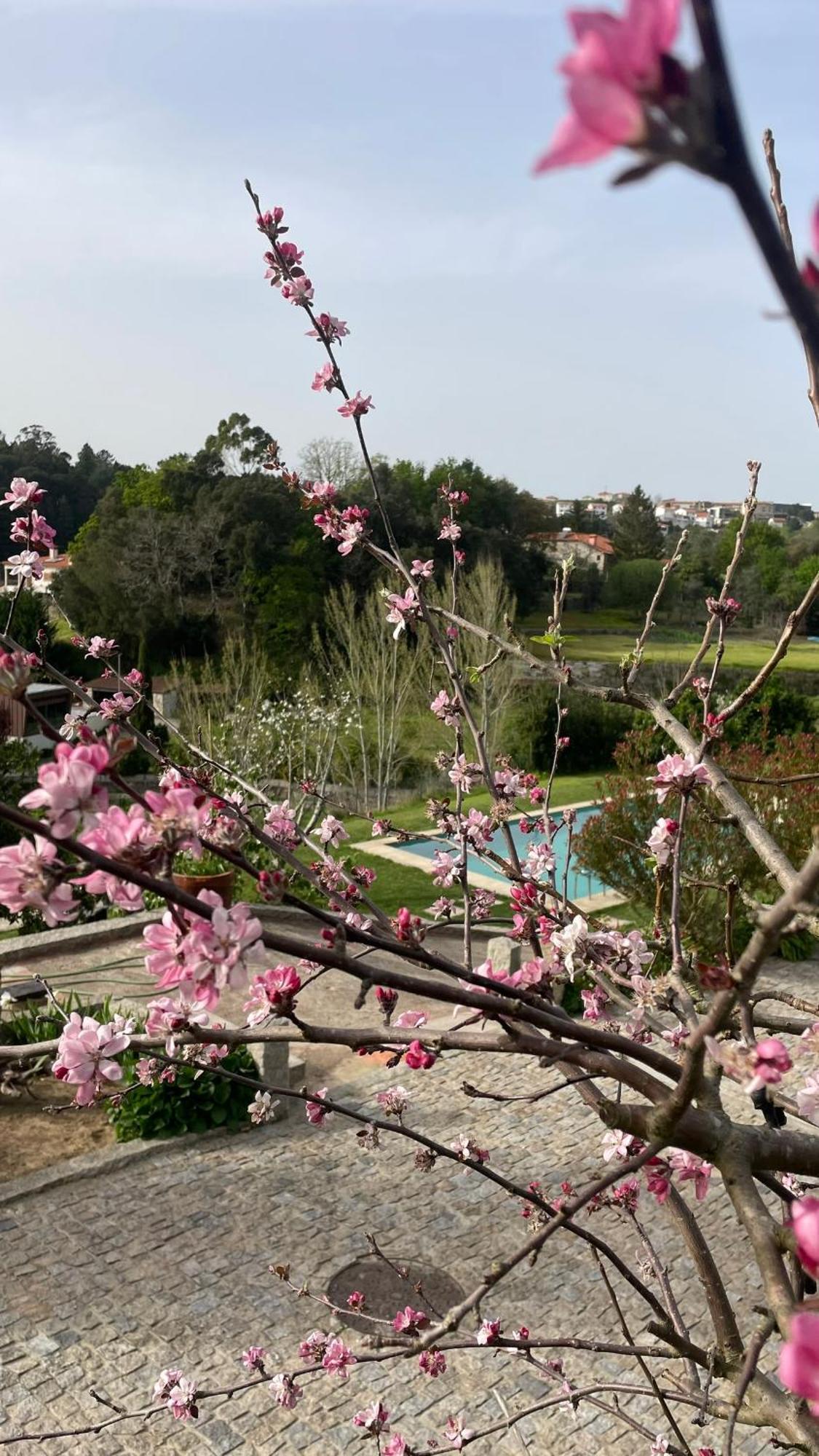 Quinta De Villasete Alpendurada エクステリア 写真