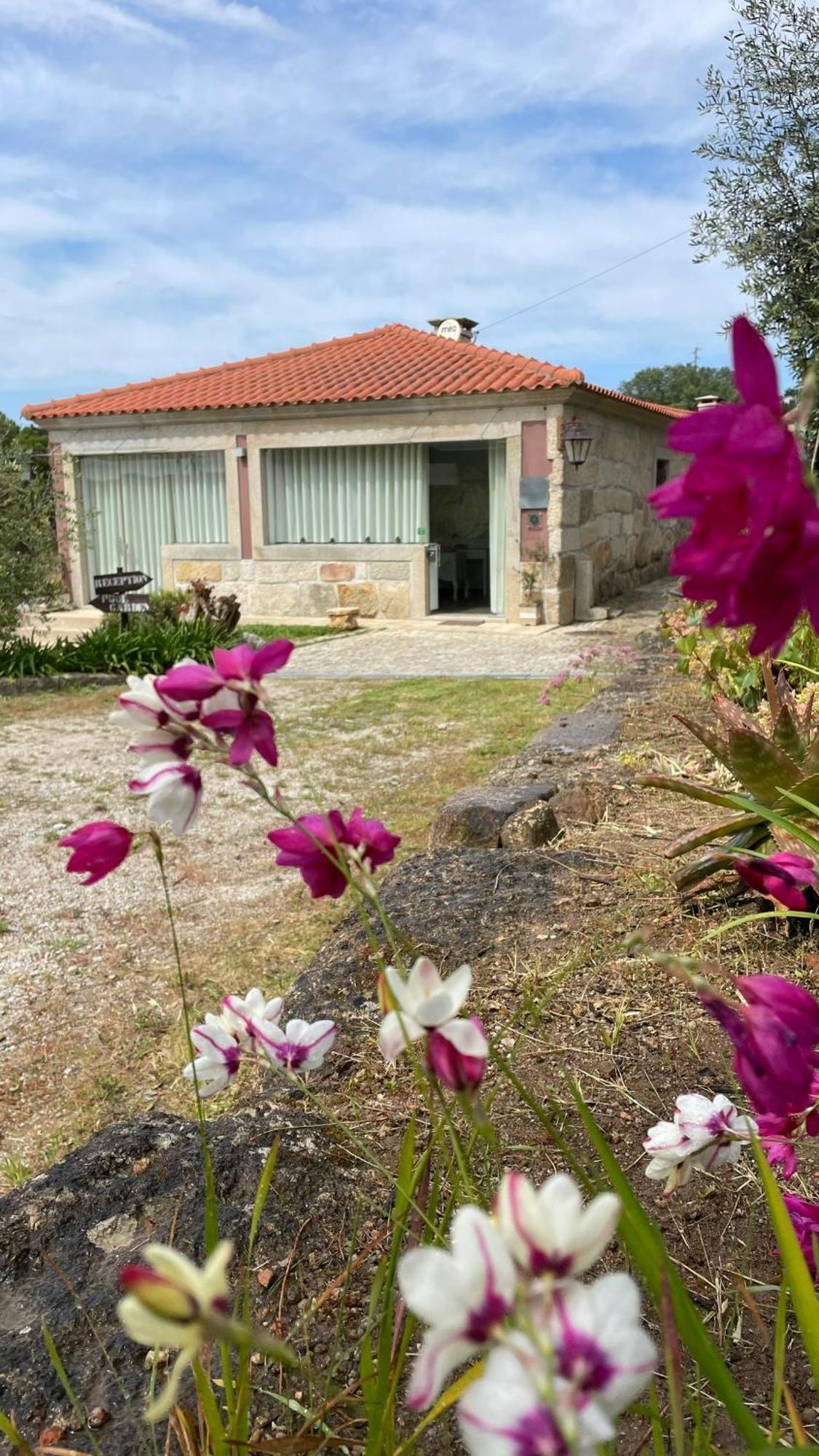 Quinta De Villasete Alpendurada エクステリア 写真