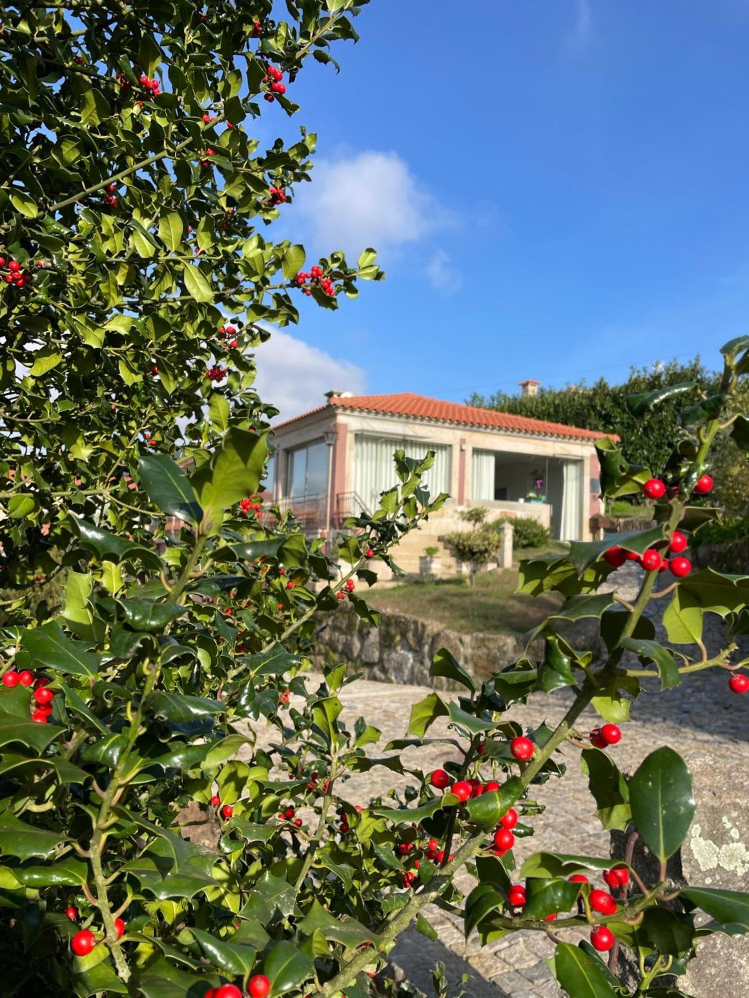 Quinta De Villasete Alpendurada エクステリア 写真
