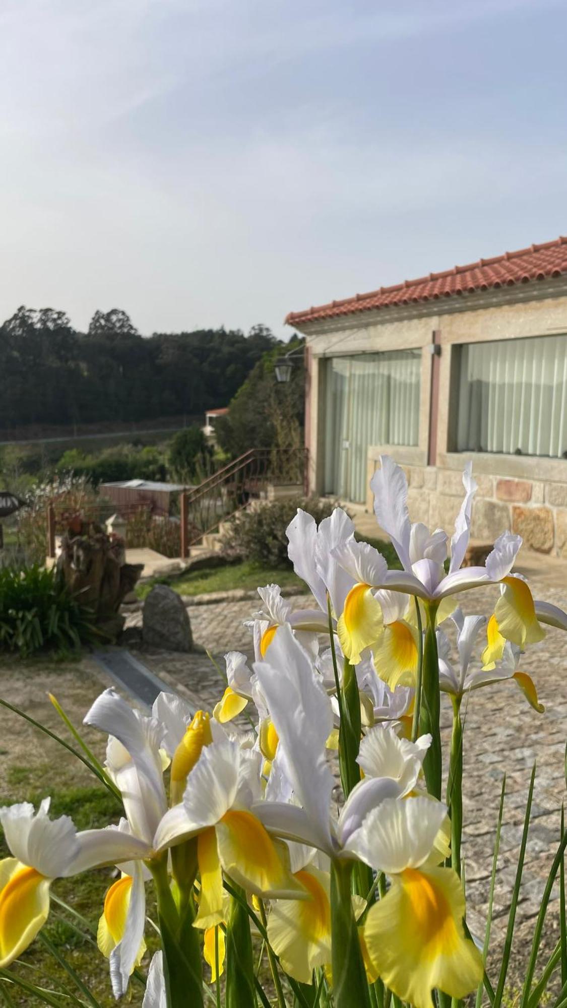 Quinta De Villasete Alpendurada エクステリア 写真
