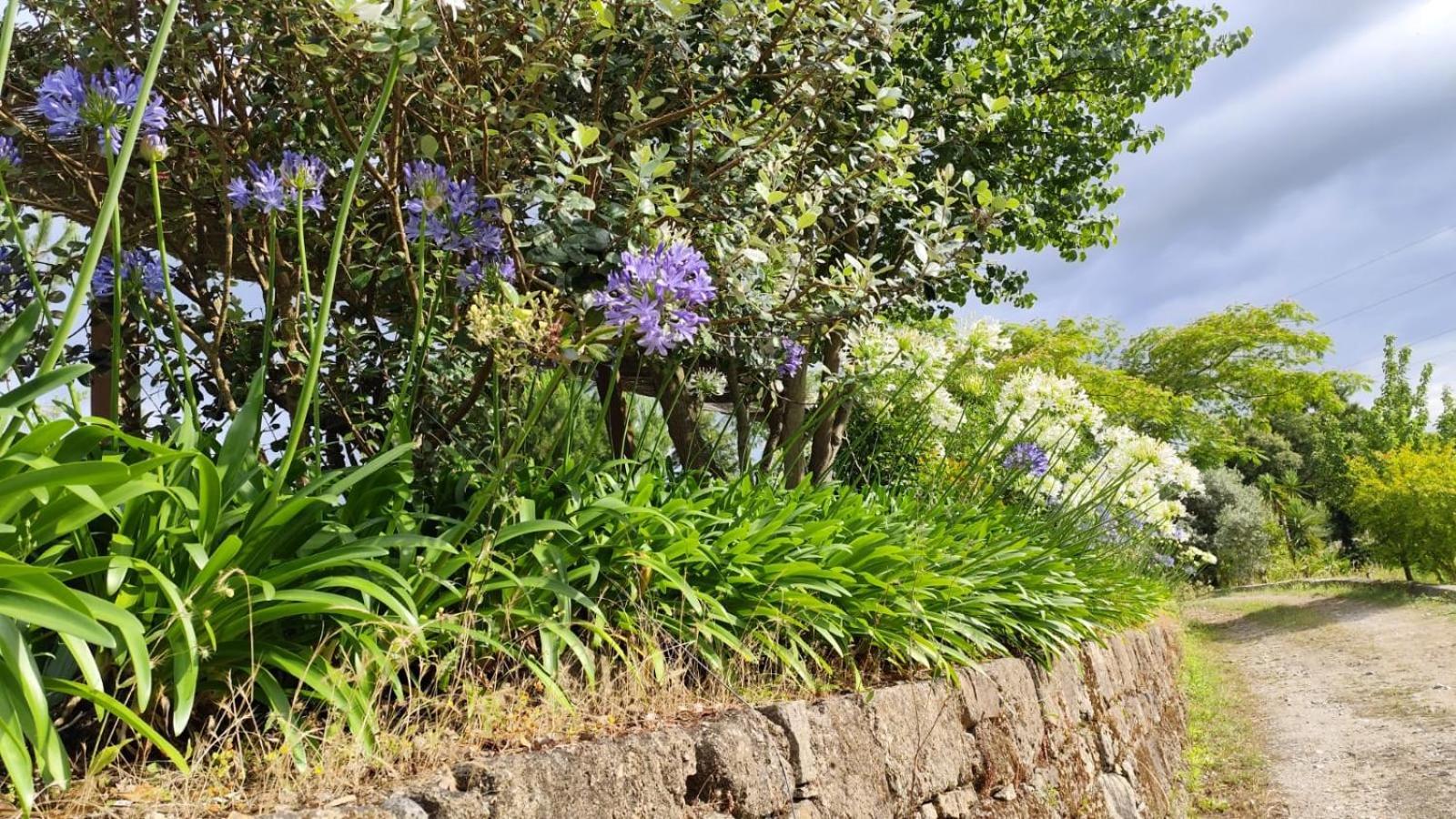 Quinta De Villasete Alpendurada エクステリア 写真
